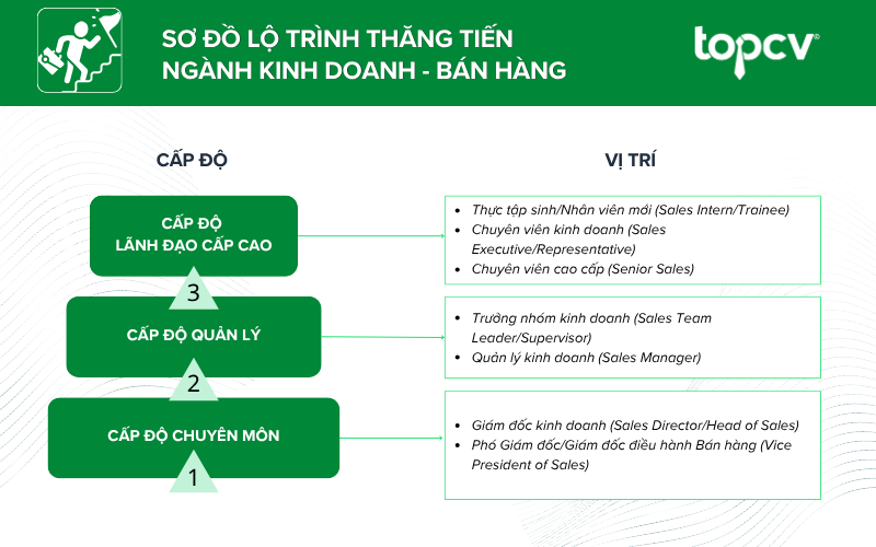 Lộ trình thăng tiến ngành Kinh doanh - Bán  hàng
